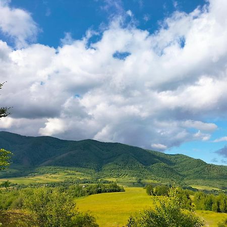 "Бджілка" І " Садиба Для Відпочинку" Lyuta Buitenkant foto